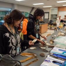 Two students inspecting a variety of furs on display